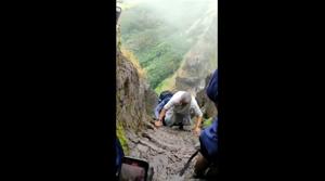 The woman can be seen climbing the steep steps of the fort.(Twitter/@SudhaRamenIFS) The woman can be seen climbing the steep steps of the fort.(Twitter/@SudhaRamenIFS)