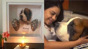 Sumona Chakravarti remembers her dog Rooney. Sumona Chakravarti remembers her dog Rooney.