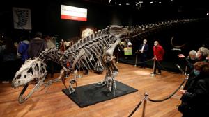 Visitors look at the skeleton of an Allosaurus.(REUTERS) Visitors look at the skeleton of an Allosaurus.(REUTERS)