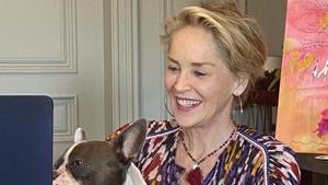 Sharon Stone Sharon Stone