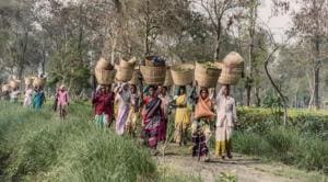 The study, noted that life expectancy in India has risen from 59.6 years in 1990 to 70.8 years in 2019, ranging from 77.3 years in Kerala to 66.9 years in Uttar Pradesh.(Unsplash) The study, noted that life expectancy in India has risen from 59.6 years in 1990 to 70.8 years in 2019, ranging from 77.3 years in Kerala to 66.9 years in Uttar Pradesh.(Unsplash)