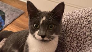Can you tell looking at this picture why he’s been named Potter?(Reddit/smolsmil) Can you tell looking at this picture why he’s been named Potter?(Reddit/smolsmil)