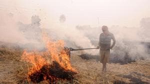In 2019, Punjab and Haryana burnt 9Mt and 1.23Mt of 20Mt and 9Mt of crop stubble produced respectively.(PTI)