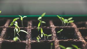 For decades, the need to cut emissions has been dogged by questions that essentially boil down to: how much will it cost, and is it worth it?(Unsplash) For decades, the need to cut emissions has been dogged by questions that essentially boil down to: how much will it cost, and is it worth it?(Unsplash)