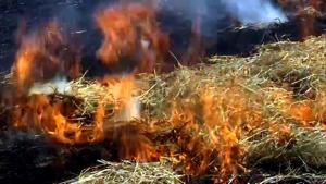 According to Haryana Space Applications Centre (HARSAC), until October 15, 1,835 active fire locations (AFL) were reported from the state against 1,072 during the same period last year.(ANI Photo) According to Haryana Space Applications Centre (HARSAC), until October 15, 1,835 active fire locations (AFL) were reported from the state against 1,072 during the same period last year.(ANI Photo)