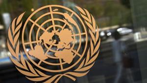 Our permanent representative (PR) was out of New York on March 17 and I had the privilege of leading the Indian delegation(REUTERS)