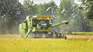 Punjab govt claims 3,56,516 farmers have been benefited by the procurement process till Friday evening.(Photo: Sameer Sehgal/ Hindustan Times) Punjab govt claims 3,56,516 farmers have been benefited by the procurement process till Friday evening.(Photo: Sameer Sehgal/ Hindustan Times)
