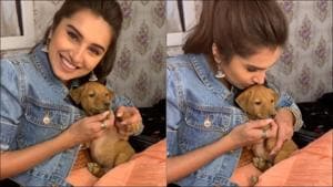 Tara Sutaria and puppy adds dollops of cuteness with their awwwdorable chemistry(Instagram/tarasutaria) Tara Sutaria and puppy adds dollops of cuteness with their awwwdorable chemistry(Instagram/tarasutaria)