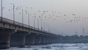 Birds fly over the heavily polluted waters of the Yamuna River, at Kalindi Kunj in New Delhi.(Biplov Bhuyan/HT PHOTO) Birds fly over the heavily polluted waters of the Yamuna River, at Kalindi Kunj in New Delhi.(Biplov Bhuyan/HT PHOTO)
