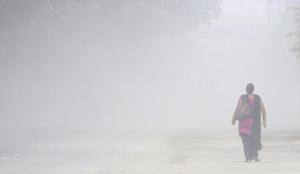 A woman walks through a cloud of dust on Sector 31, Noida, October 15, 2020(Sunil Ghosh / Hindustan Times) A woman walks through a cloud of dust on Sector 31, Noida, October 15, 2020(Sunil Ghosh / Hindustan Times)