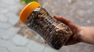 This world clean-up day, the organisation wanted to highlight the soaring issue of cigarette butt litter and thus launched The Fugitive. (representational image)(Unsplash) This world clean-up day, the organisation wanted to highlight the soaring issue of cigarette butt litter and thus launched The Fugitive. (representational image)(Unsplash)