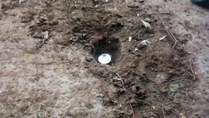 A team of the paramilitary force’s 9th Battalion was carrying out a combing operation at Tutugumi village under Panasput panchayat at Swabhiman Anchala, close to Odisha-Andhra Pradesh border, when they stumbled seven IEDs packed in tin and steel containers.(Sourced) A team of the paramilitary force’s 9th Battalion was carrying out a combing operation at Tutugumi village under Panasput panchayat at Swabhiman Anchala, close to Odisha-Andhra Pradesh border, when they stumbled seven IEDs packed in tin and steel containers.(Sourced)
