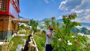 Sanjay Austa cherry picking at his farm stay, Meena Bagh Resorts, in Ratnari, while Beswa, the farm dog, a favourite with his Instagram followers, looks on. Austa began posting photos of his farm and his produce in 2015 and his account has nearly 2000 followers. (Photo courtesy Sanjay Austa ) Sanjay Austa cherry picking at his farm stay, Meena Bagh Resorts, in Ratnari, while Beswa, the farm dog, a favourite with his Instagram followers, looks on. Austa began posting photos of his farm and his produce in 2015 and his account has nearly 2000 followers. (Photo courtesy Sanjay Austa )