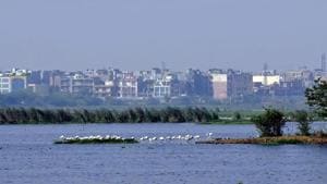 Additional DCP (southeast) Kumar Gyanesh said that around 2 pm, the Kalindi Kunj police station received a call regarding drowning of two girls in Agra Canal. (Image used for representation).(HT FILE PHOTO.) Additional DCP (southeast) Kumar Gyanesh said that around 2 pm, the Kalindi Kunj police station received a call regarding drowning of two girls in Agra Canal. (Image used for representation).(HT FILE PHOTO.)