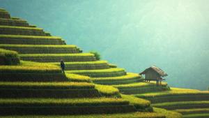 Japan previously said it would aim to reduce emissions by 80% by 2050 and achieve net-zero emissions sometime in the latter half of the century.(Pixabay)
