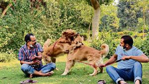 Guddu and Chuck are dogs. Dinesh is a human. He is holding on to Guddu’s leash.(Mayank Austen Soofi) Guddu and Chuck are dogs. Dinesh is a human. He is holding on to Guddu’s leash.(Mayank Austen Soofi)