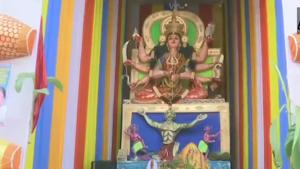 The image shows the Durga idol.(ANI) The image shows the Durga idol.(ANI)