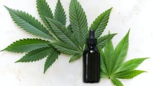 The study, recently published in the Journal of Affective Disorders, also found that higher doses and cannabis with higher concentrations of CBD, or cannabidiol, were associated with larger reductions in compulsions.(Unsplash) The study, recently published in the Journal of Affective Disorders, also found that higher doses and cannabis with higher concentrations of CBD, or cannabidiol, were associated with larger reductions in compulsions.(Unsplash)