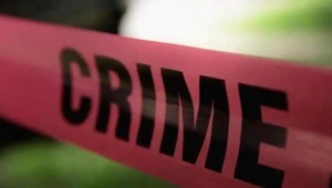 During investigation, police analysed the CCTV cameras and found one Swift Dzire car on the road at the time of the incident.(Representative image) During investigation, police analysed the CCTV cameras and found one Swift Dzire car on the road at the time of the incident.(Representative image)