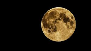 Using NASA’s Stratospheric Observatory for Infrared Astronomy (SOFIA), the researchers, including those from the University of Hawaii in the US, detected water molecules (H2O) in Clavius Crater.(Pixabay) Using NASA’s Stratospheric Observatory for Infrared Astronomy (SOFIA), the researchers, including those from the University of Hawaii in the US, detected water molecules (H2O) in Clavius Crater.(Pixabay)