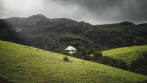 The image shows Vagamon, Kerala.(Unsplash) The image shows Vagamon, Kerala.(Unsplash)