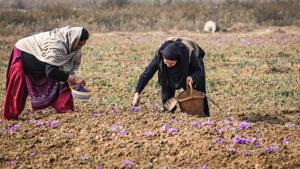 Lieutenant Governor Manoj Sinha said that agricultural land has been reserved for farmers.(HT Photo) Lieutenant Governor Manoj Sinha said that agricultural land has been reserved for farmers.(HT Photo)