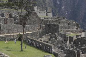 The Machu Picchu archeological site is devoid of tourists while it’s closed amid the COVID-19 pandemic, in the department of Cusco, Peru, Tuesday, Oct. 27, 2020. Currently open to maintenance workers only, the world-renown Incan citadel of Machu Picchu will reopen to the public on Nov. 1. (AP) The Machu Picchu archeological site is devoid of tourists while it’s closed amid the COVID-19 pandemic, in the department of Cusco, Peru, Tuesday, Oct. 27, 2020. Currently open to maintenance workers only, the world-renown Incan citadel of Machu Picchu will reopen to the public on Nov. 1. (AP)