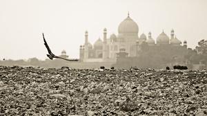 Increased pollution levels at Agra have compromised the Taj Mahal’s visibility(REUTERS) Increased pollution levels at Agra have compromised the Taj Mahal’s visibility(REUTERS)