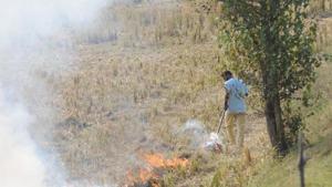 Deputy commissioner Ashok Kumar Sharma says there is regular monitoring of stubble burning incidents by the agriculture department and pollution control board.(Representational picture) Deputy commissioner Ashok Kumar Sharma says there is regular monitoring of stubble burning incidents by the agriculture department and pollution control board.(Representational picture)
