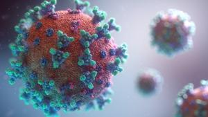 Coronavirus(Unsplash) Coronavirus(Unsplash)