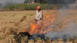 A farmer burns paddy stubble at Dhearhi Jatta village on NH-7 in Patiala, Punjab on Thursday.(Bharat Bhushan/HT Photo) A farmer burns paddy stubble at Dhearhi Jatta village on NH-7 in Patiala, Punjab on Thursday.(Bharat Bhushan/HT Photo)