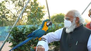 Prime Minister Narendra Modi at the Geodesic Aviary Dome in Kevadia on Friday. (Photo: Twitter)(PTI) Prime Minister Narendra Modi at the Geodesic Aviary Dome in Kevadia on Friday. (Photo: Twitter)(PTI)