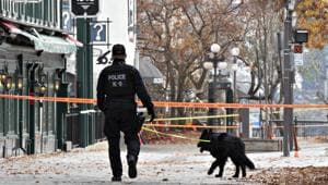 A K-9 unit police officer walks near the site of a stabbing in Quebec City on November 1.(AP)