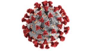 The study, published in the journal Allergy, involving 109 recovered Covid-19 patients and 98 healthy individuals.(Unsplash) The study, published in the journal Allergy, involving 109 recovered Covid-19 patients and 98 healthy individuals.(Unsplash)
