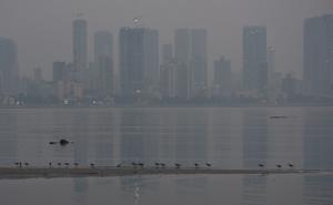 Mumbai’s skyline can be seen on a hazy day, in Bandra on November 03.(Satyabrata Tripathy/HT Photo) Mumbai’s skyline can be seen on a hazy day, in Bandra on November 03.(Satyabrata Tripathy/HT Photo)