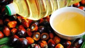 Vitamin E extracted from palm oil useful in boosting immunity? Read on to know(Twitter/DVIINGENIERIA) Vitamin E extracted from palm oil useful in boosting immunity? Read on to know(Twitter/DVIINGENIERIA)