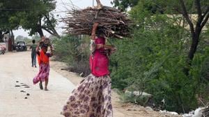 The people in the studied villages viewed LPG as a financial burden that gave food an undesirable taste, and feared a fatal canister explosion, the researchers added.(File Photo) The people in the studied villages viewed LPG as a financial burden that gave food an undesirable taste, and feared a fatal canister explosion, the researchers added.(File Photo)