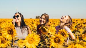 The second edition will shed some light on the lives of Urban Indian homemakers.(Unsplash) The second edition will shed some light on the lives of Urban Indian homemakers.(Unsplash)