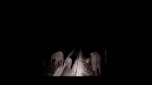 The image shows the elephants crossing the rail track.(Twitter/@PiyushGoyal) The image shows the elephants crossing the rail track.(Twitter/@PiyushGoyal)