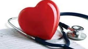 From the Delhi airport, the donor heart was transported to the hospital in an ambulance through the 18.3 km stretch in 17 minutes, which ensured that the retrieved heart was transplanted within the critical 4-hour chest-to-chest period. (Shutterstock) From the Delhi airport, the donor heart was transported to the hospital in an ambulance through the 18.3 km stretch in 17 minutes, which ensured that the retrieved heart was transplanted within the critical 4-hour chest-to-chest period. (Shutterstock)