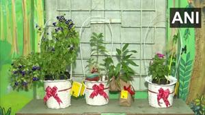 One could choose from a variety of plants ranging from flowering plants like the Ixora or Toronia to medicinal plants such as Rama Tulasi, Insulin plant, and Ayappan.(Twitter/@ANI) One could choose from a variety of plants ranging from flowering plants like the Ixora or Toronia to medicinal plants such as Rama Tulasi, Insulin plant, and Ayappan.(Twitter/@ANI)