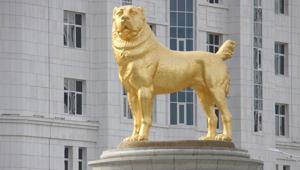A view shows a statue of a Turkmen shepherd dog, locally known as Alabai, in Ashgabat, Turkmenistan.(REUTERS) A view shows a statue of a Turkmen shepherd dog, locally known as Alabai, in Ashgabat, Turkmenistan.(REUTERS)