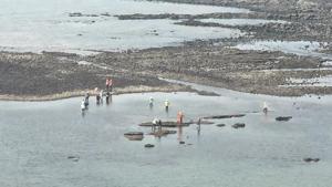 The exercise of shifting the marine species began on Thursday.(HT Photo) The exercise of shifting the marine species began on Thursday.(HT Photo)