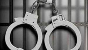 The accused, his two brothers and father have been arrested in connection with the case.(HT Archives. Representative image) The accused, his two brothers and father have been arrested in connection with the case.(HT Archives. Representative image)