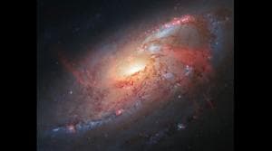 This image was shared on the official Instagram account of NASA’s Hubble Space Telescope on November 17.(Instagram/@nasahubble) This image was shared on the official Instagram account of NASA’s Hubble Space Telescope on November 17.(Instagram/@nasahubble)