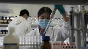 According to the survey results, 73% of the 12,000 respondents from 11 countries, was willing to be vaccinated against the viral disease, while of those aware of Russia’s Sputnik V vaccine and willing to be vaccinated, the number was even higher – four out of every five respondents.(AP File) According to the survey results, 73% of the 12,000 respondents from 11 countries, was willing to be vaccinated against the viral disease, while of those aware of Russia’s Sputnik V vaccine and willing to be vaccinated, the number was even higher – four out of every five respondents.(AP File)