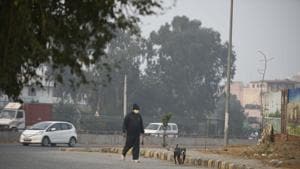 A man out walking his dog at Sector-11, Gurugram, on November 17.(Parveen Kumar/HT photo) A man out walking his dog at Sector-11, Gurugram, on November 17.(Parveen Kumar/HT photo)