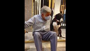The image shows Ratan Tata with stray dogs.(Instagram/@ratantata) The image shows Ratan Tata with stray dogs.(Instagram/@ratantata)