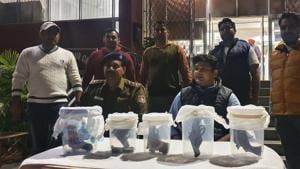 Two revolvers, two pistols with one magazine and three live cartridges were recovered in Chandigarh after the interrogation of gangster Sagar Newton.(HT Photo) Two revolvers, two pistols with one magazine and three live cartridges were recovered in Chandigarh after the interrogation of gangster Sagar Newton.(HT Photo)