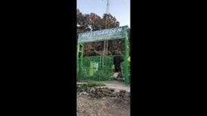 Moss Garden, Khurpatal houses around 30 different species of moss and certain other bryophyte species.(Twitter/@ANI) Moss Garden, Khurpatal houses around 30 different species of moss and certain other bryophyte species.(Twitter/@ANI)